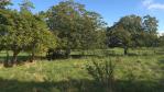 Vente maison Saleux (80) 208 000 €