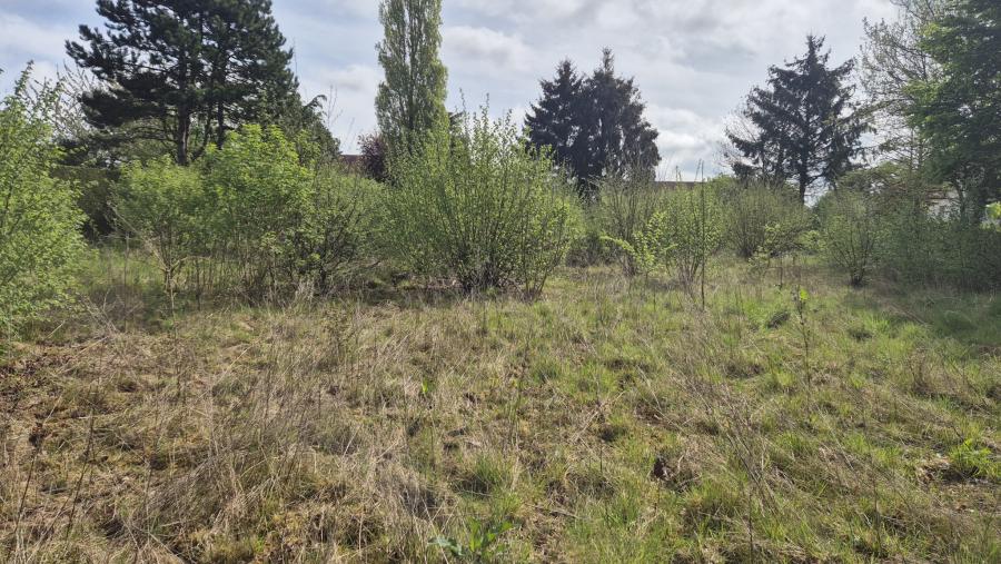 Recherche immobilière