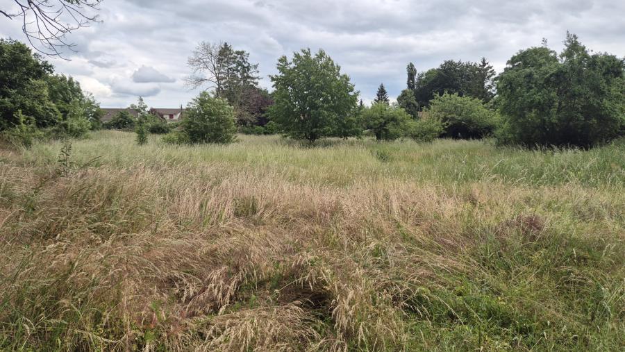 Recherche immobilière