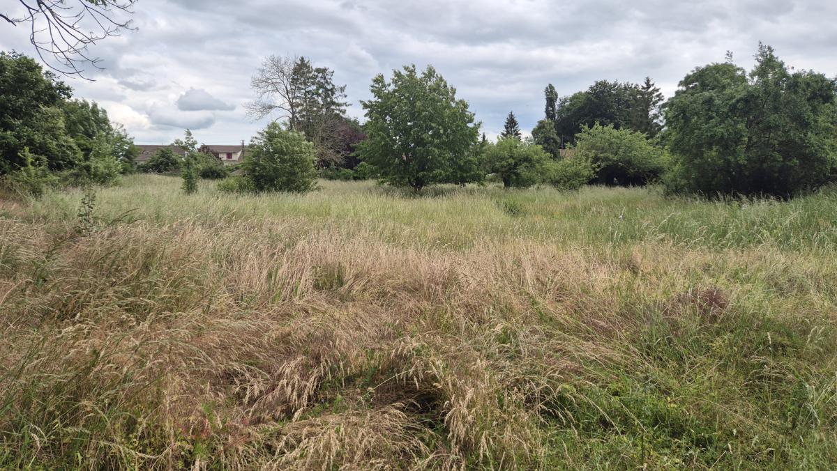 Recherche immobilière